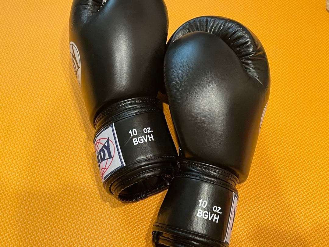 WINDY⭐︎ボクシンググローブ（黒色）