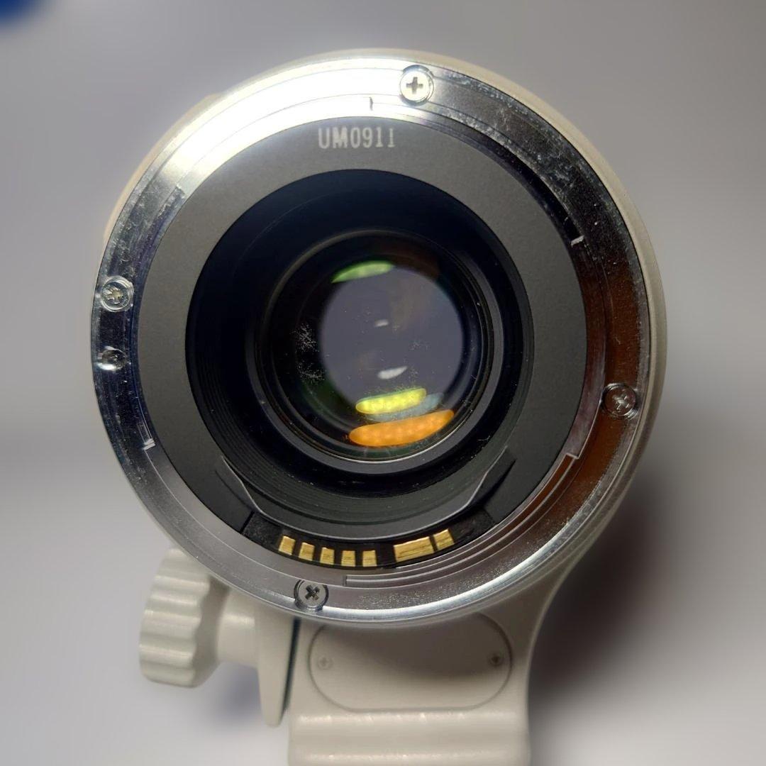 【訳あり】Canon Zoom EF35-350mm f/3.5-5.6L