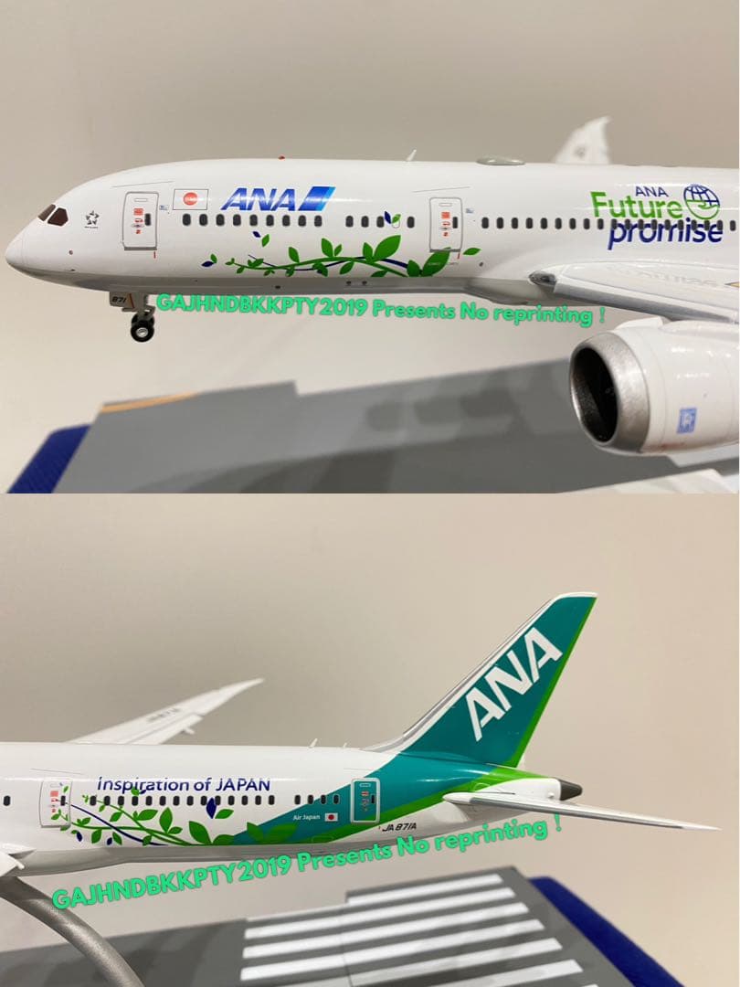ANA 緑 B787-9 Green Jet 871Aフラップダウン 1/200
