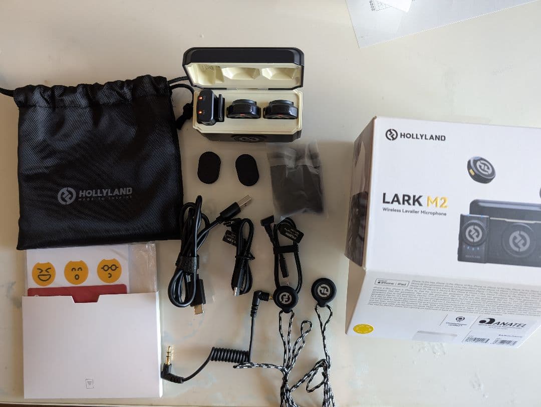 Holyland Lark M12 USB Type-C ワイヤレスイヤホン