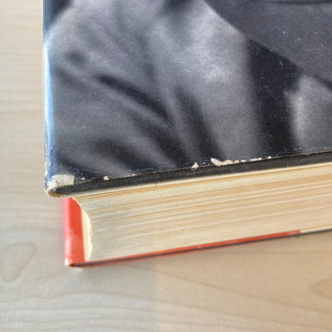 MIRÓ by Jacques Dupin