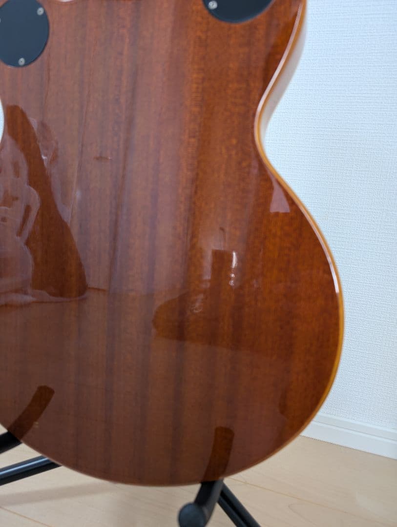 Epiphone Wildkat エピフォン　ワイルドキャット　ビグスビ―付