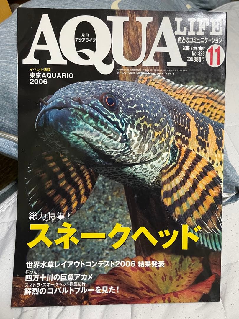 【貴重！】月刊アクアライフ スネークヘッド特集 4冊セット