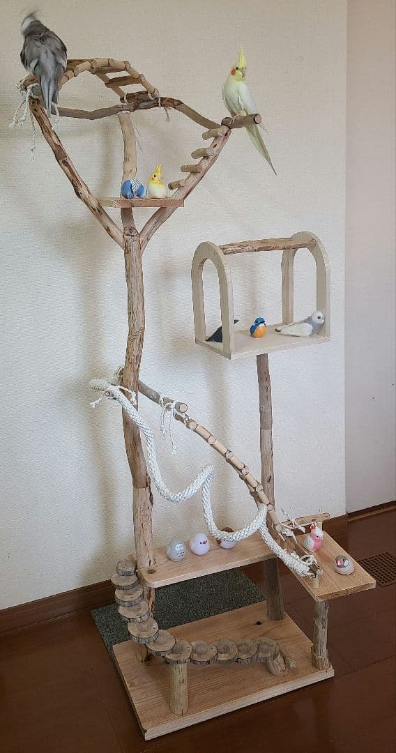 ④朝霧＊オーダーページ　バードアスレチック　流木　ハンドメイド