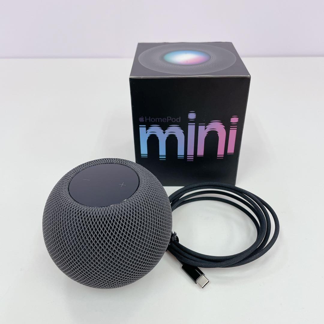 Apple Pod Mini スペースグレー A2374 #T-512