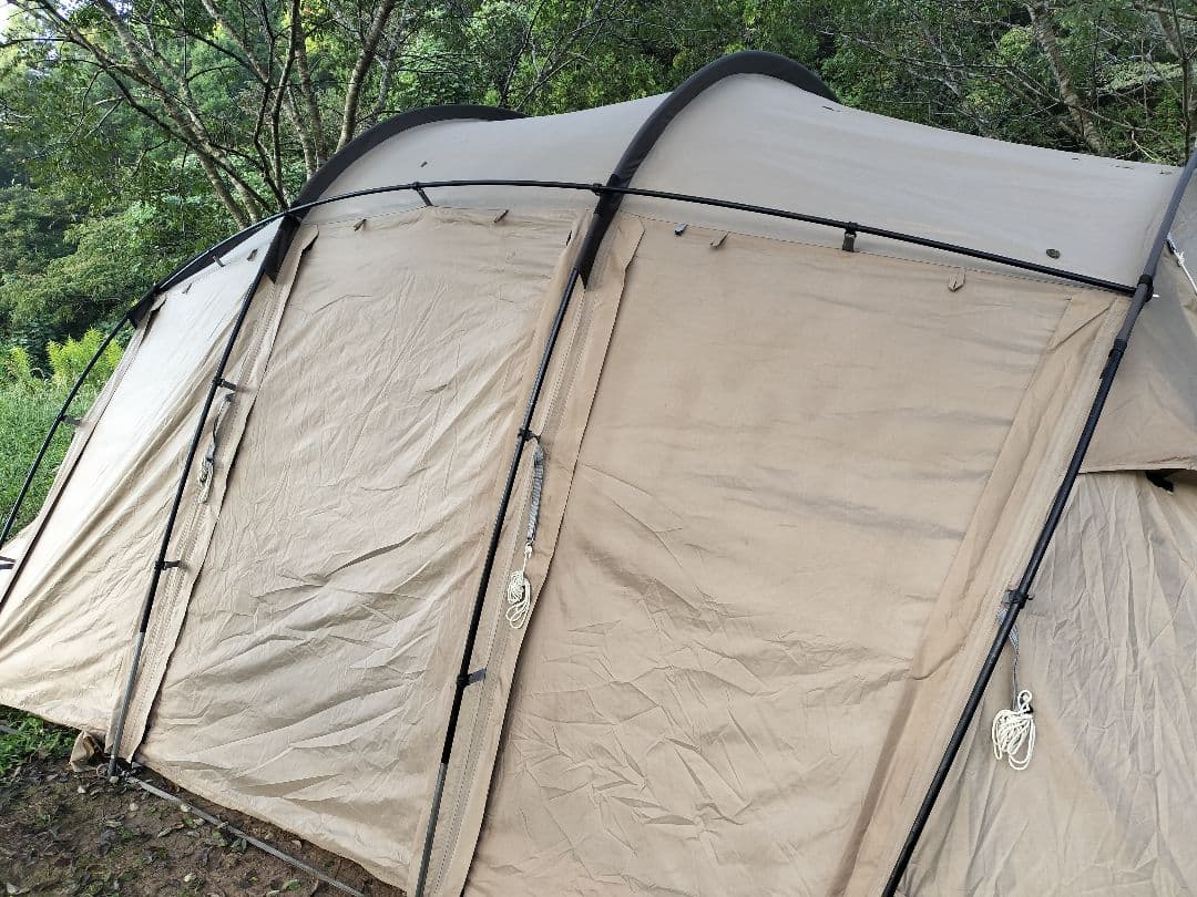 【オフシーズン割！！】サバティカル　アルニカ