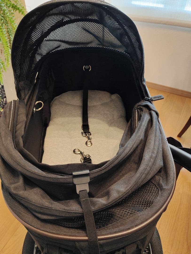 エアバギー×Mercedes-BenzDOME2 M