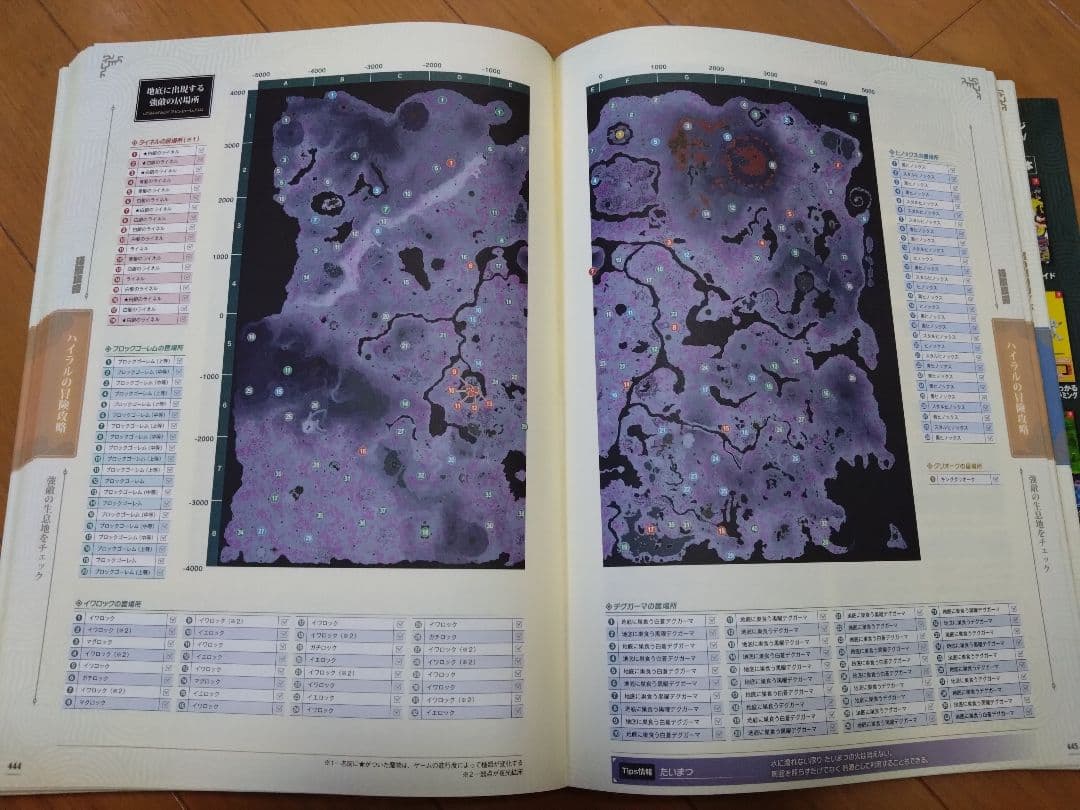 ゼルダの伝説 ティアーズ オブ ザ キングダム