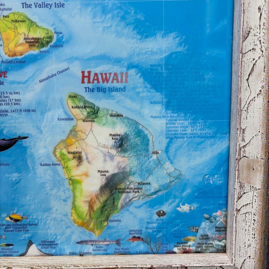 ハワイ島の説明絵画