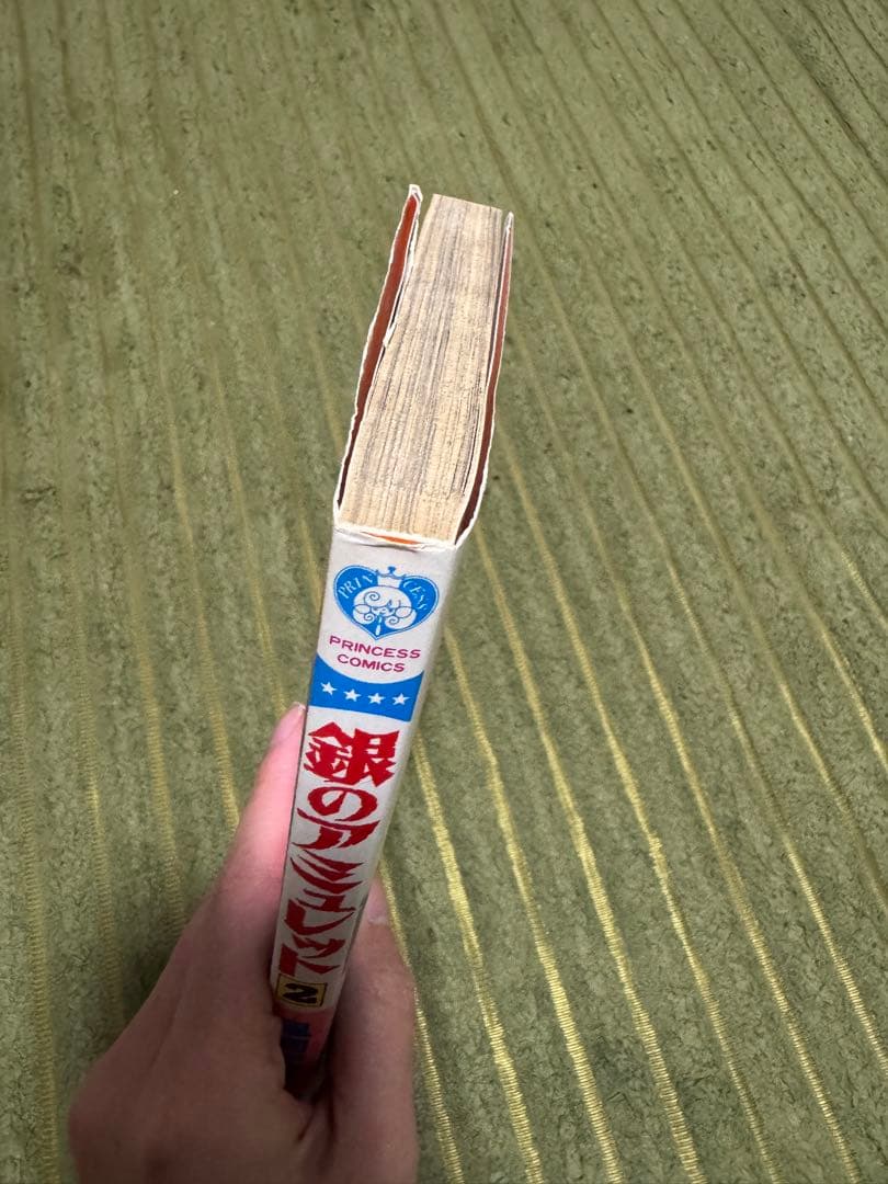 【レア】銀のアミュレット 全2巻セット