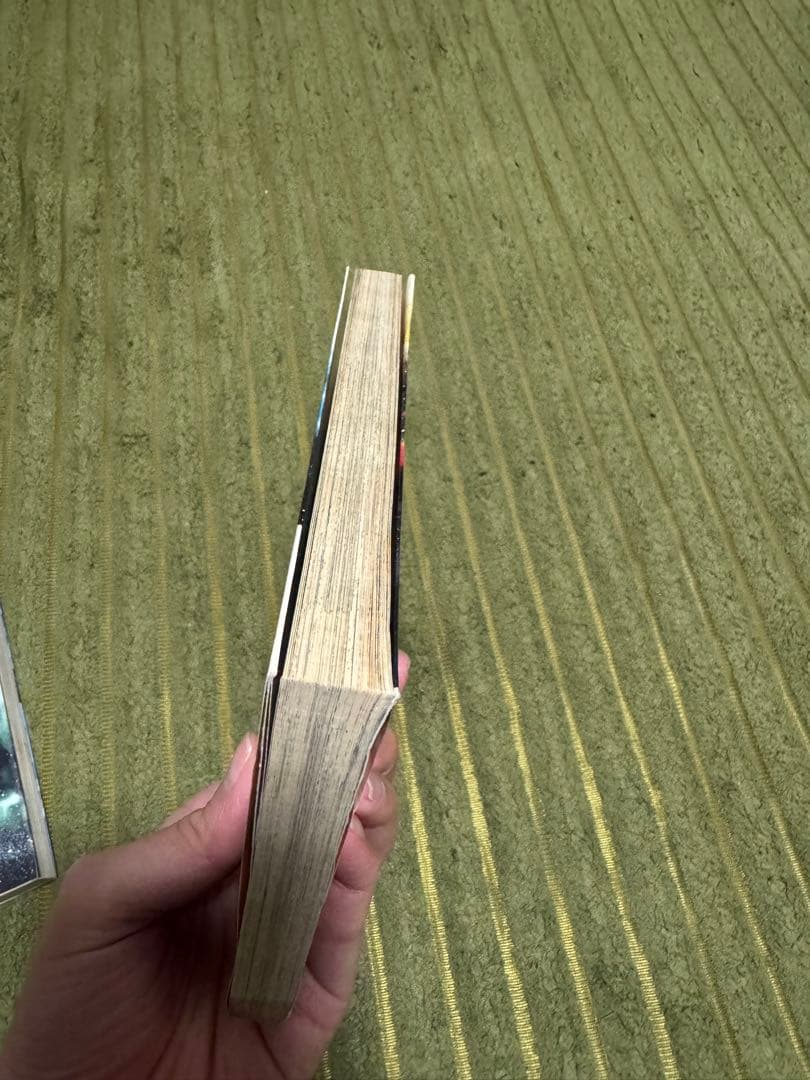 【レア】銀のアミュレット 全2巻セット