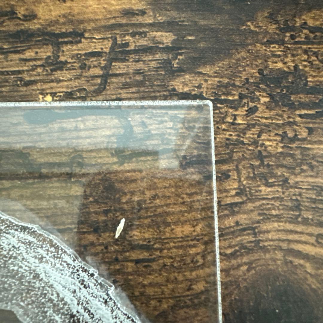 Dos Monos／Don’t Make Any Noise 500枚限定