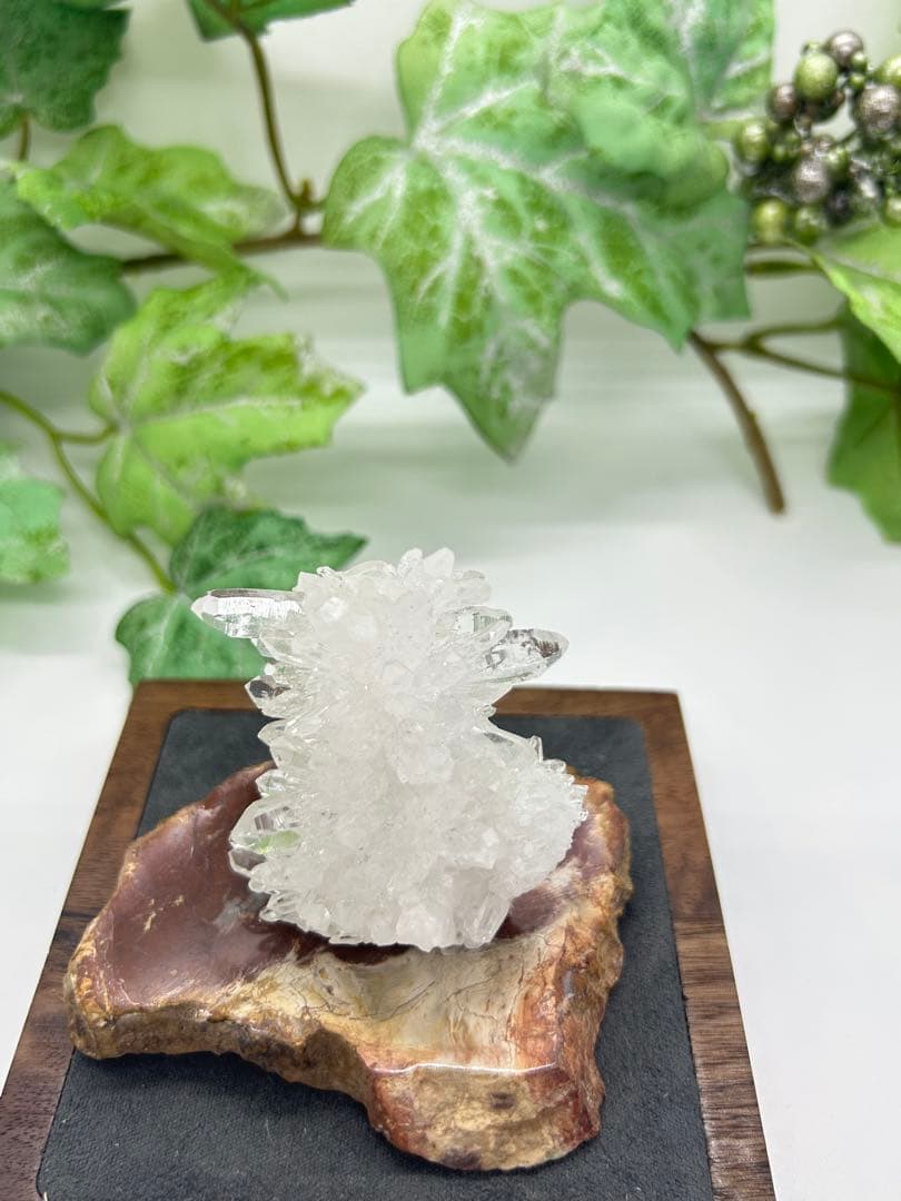 珪化木プレート　ペトリファイドウッド　No.871