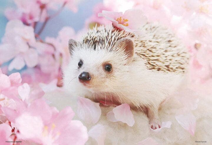 ✯ 逸品 Baccarat ハリネズミ ねずみ 子 ネズミ 干支 置物 ✯
