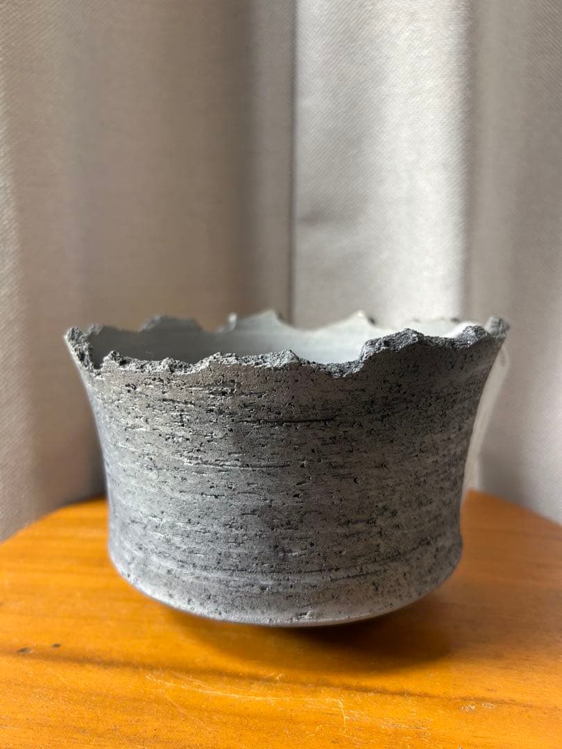 鶴仙園 三州みやび鉢 パキプスグラキリスInvisible ink SRL植木鉢