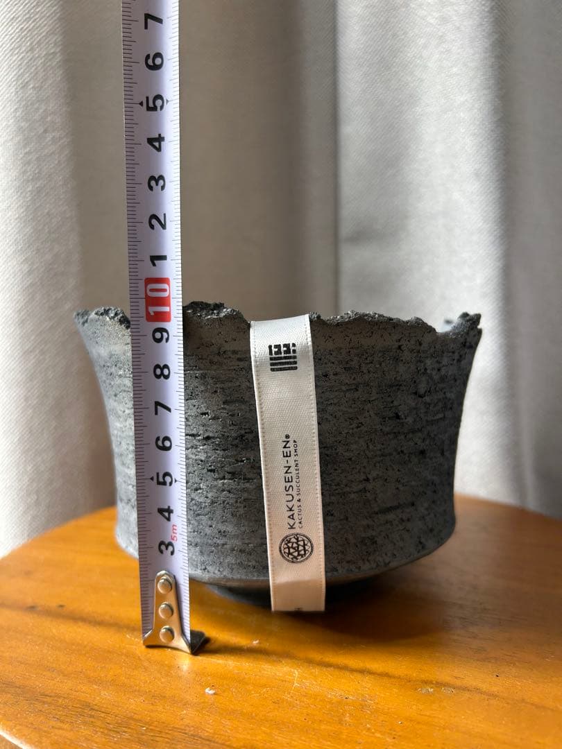 鶴仙園 三州みやび鉢 パキプスグラキリスInvisible ink SRL植木鉢