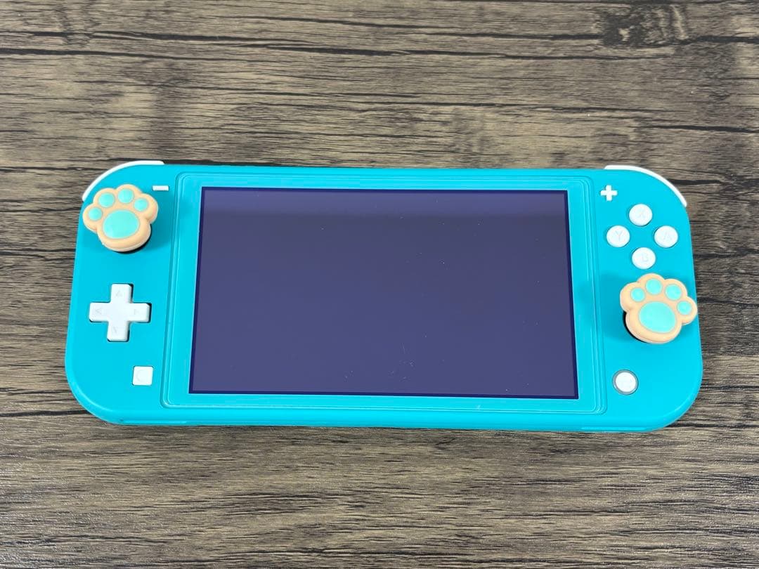 ニンテンドースイッチ ライト(ターコイズ)美品＋純正充電器・ケース等付き