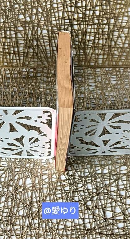 亀石厓風♦『大神殺』⭐特別付録有⭐日支秘干表⭐霊気因子一覧表♦四柱推命☘️大開運