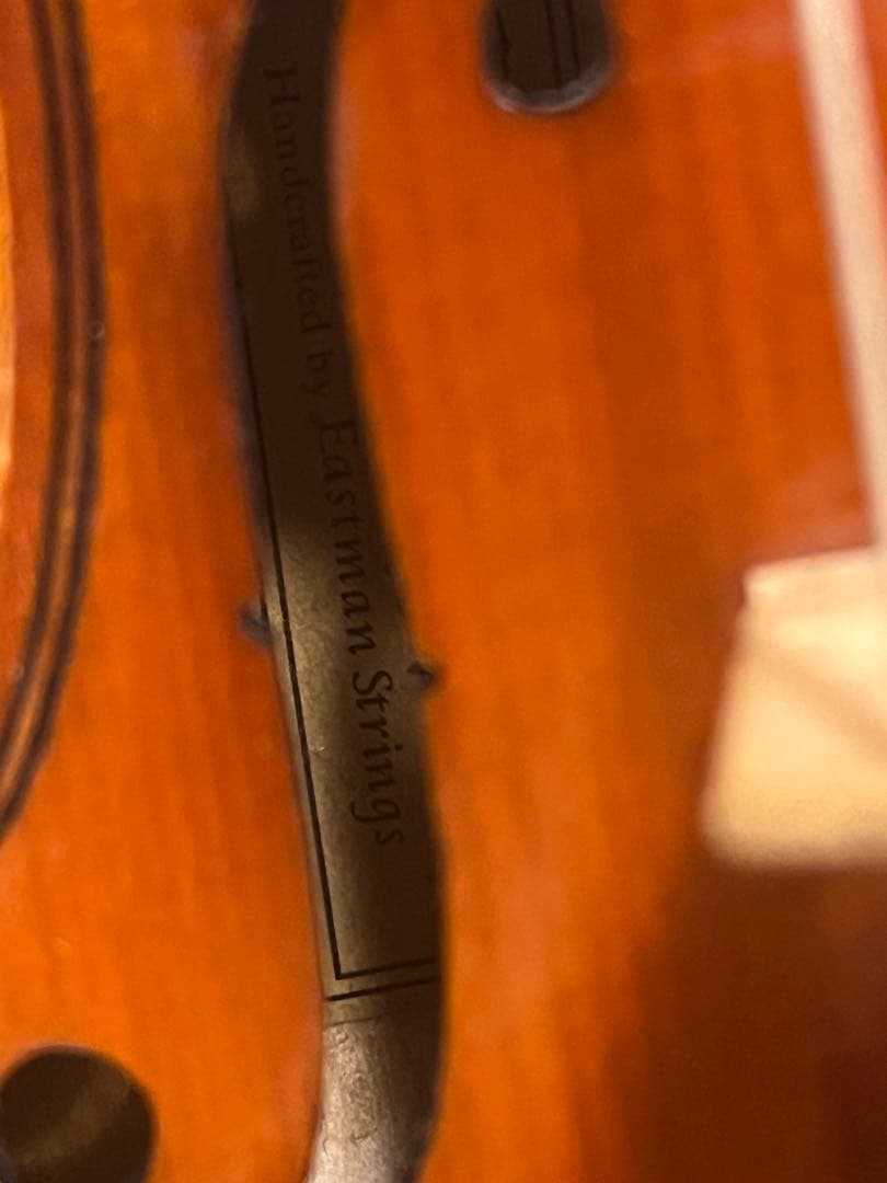 Andreas Eastman VL80 1/10サイズ　2018年製バイオリン