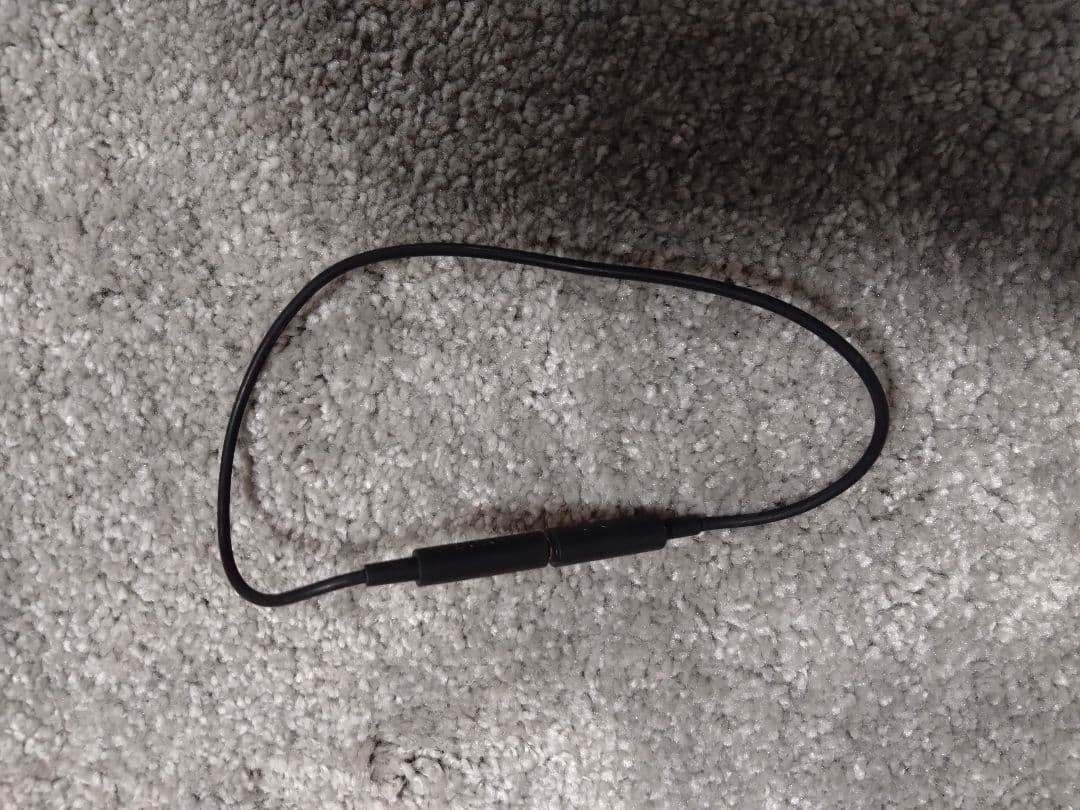 美品　Nintendo Switch Lite コーラル 本体