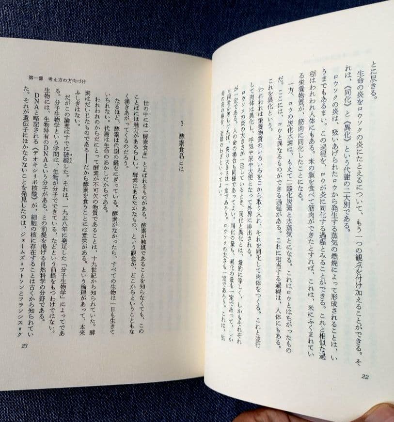 三石巌全業績（15）DNAとメガビタミン　初版発行