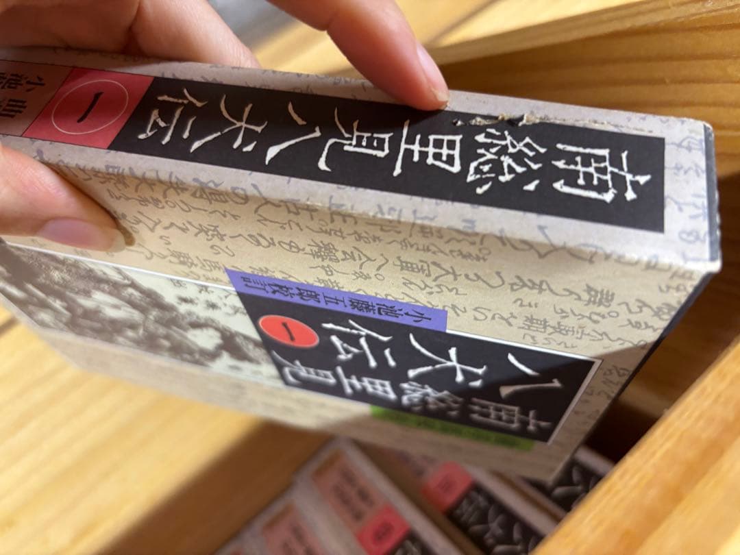南総里見八犬伝　全10巻　曲亭馬琴 岩波書店