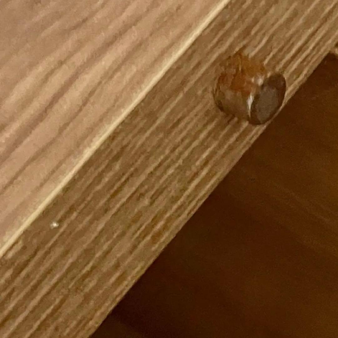 値下げしました　LOWYA 猫がくつろげるローテーブル 国産 80×80 cm