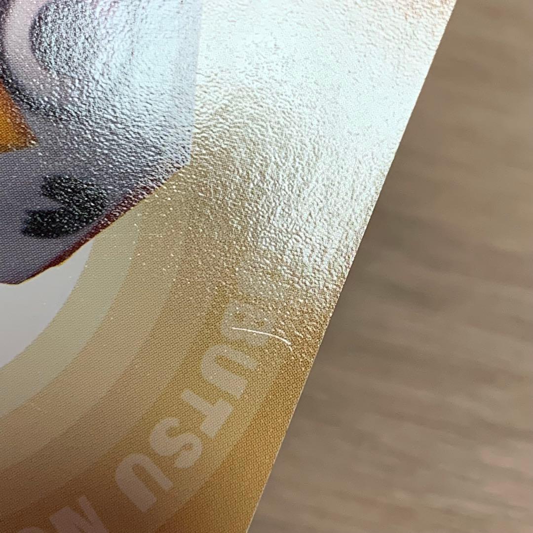 希少 どうぶつの森+ カードe しょうきち