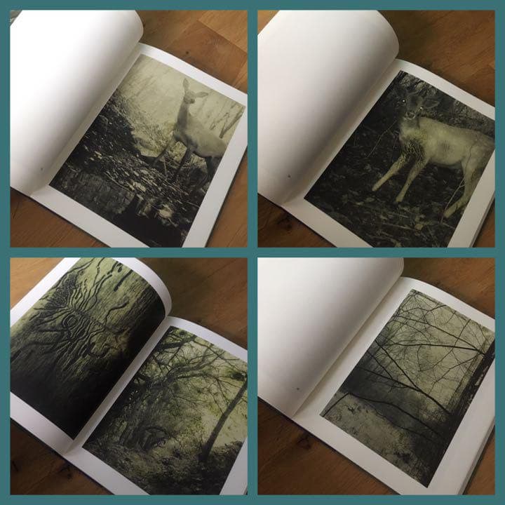 サイン入り❗️新品【Night Procession】Stephen Gill