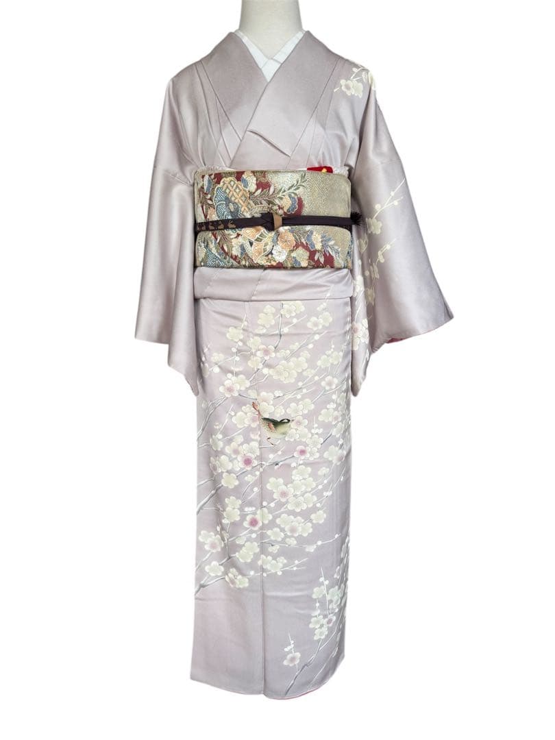 正絹訪問着　友禅染　梅枝　目白