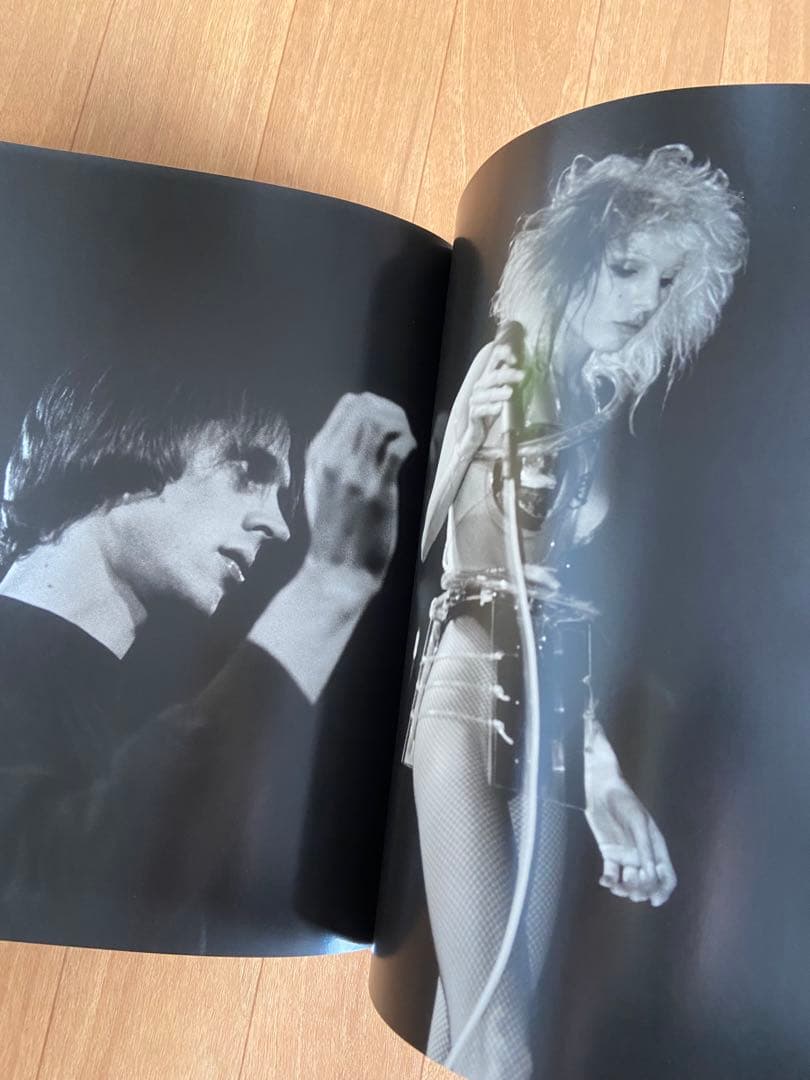 THE BEAUTIFUL & THE DAMNED 写真集 Ann Summa