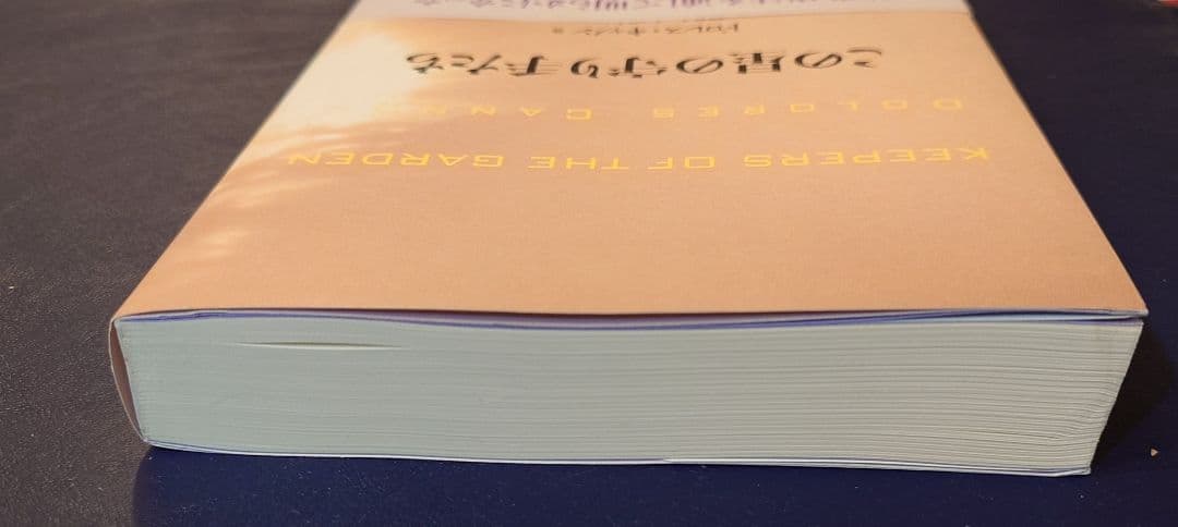 この星の守り手たち ドロレス・キャノン 前世療法 スターピープル