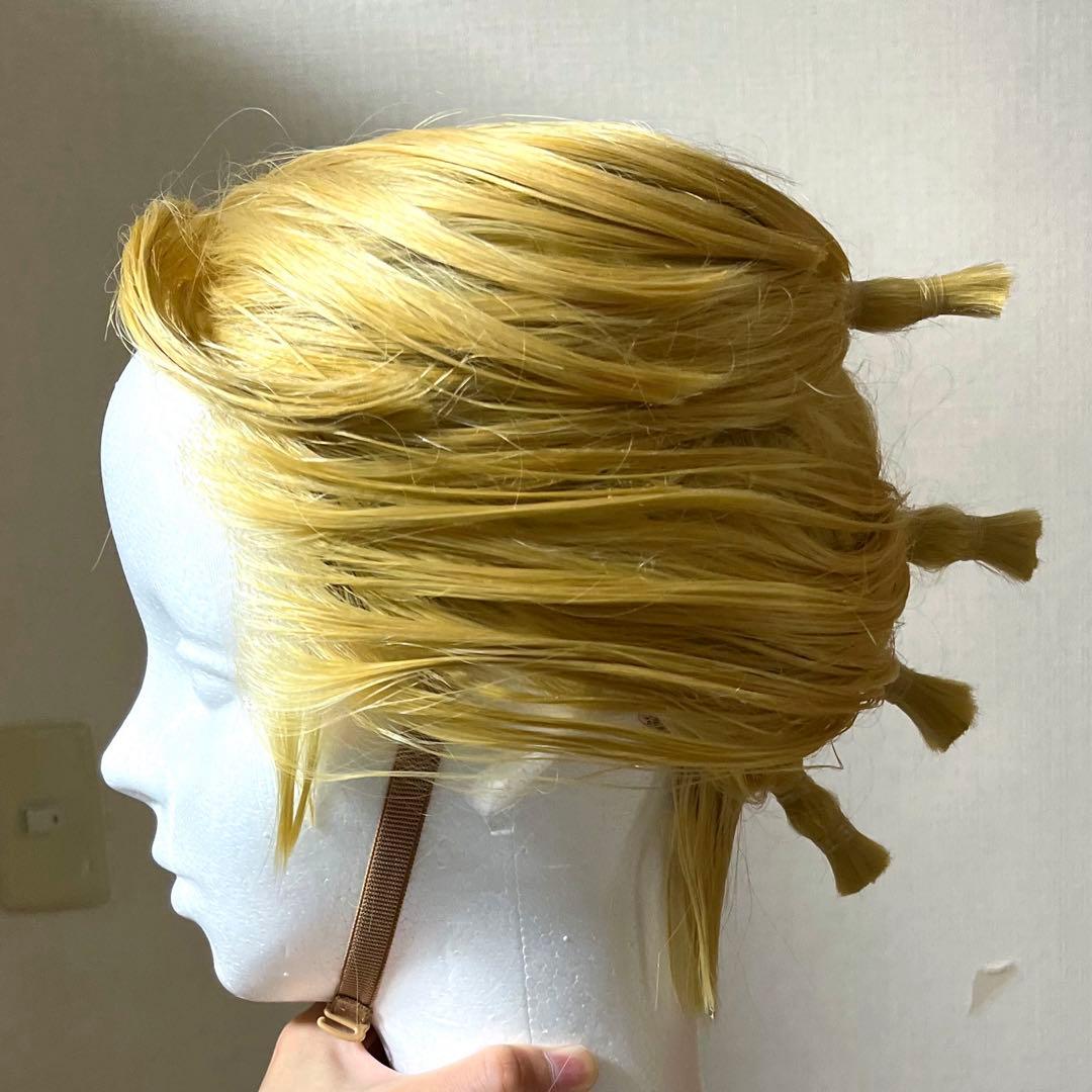 ジョジョの奇妙な冒険 プロシュート コスプレ衣装 ウィッグ Mサイズ