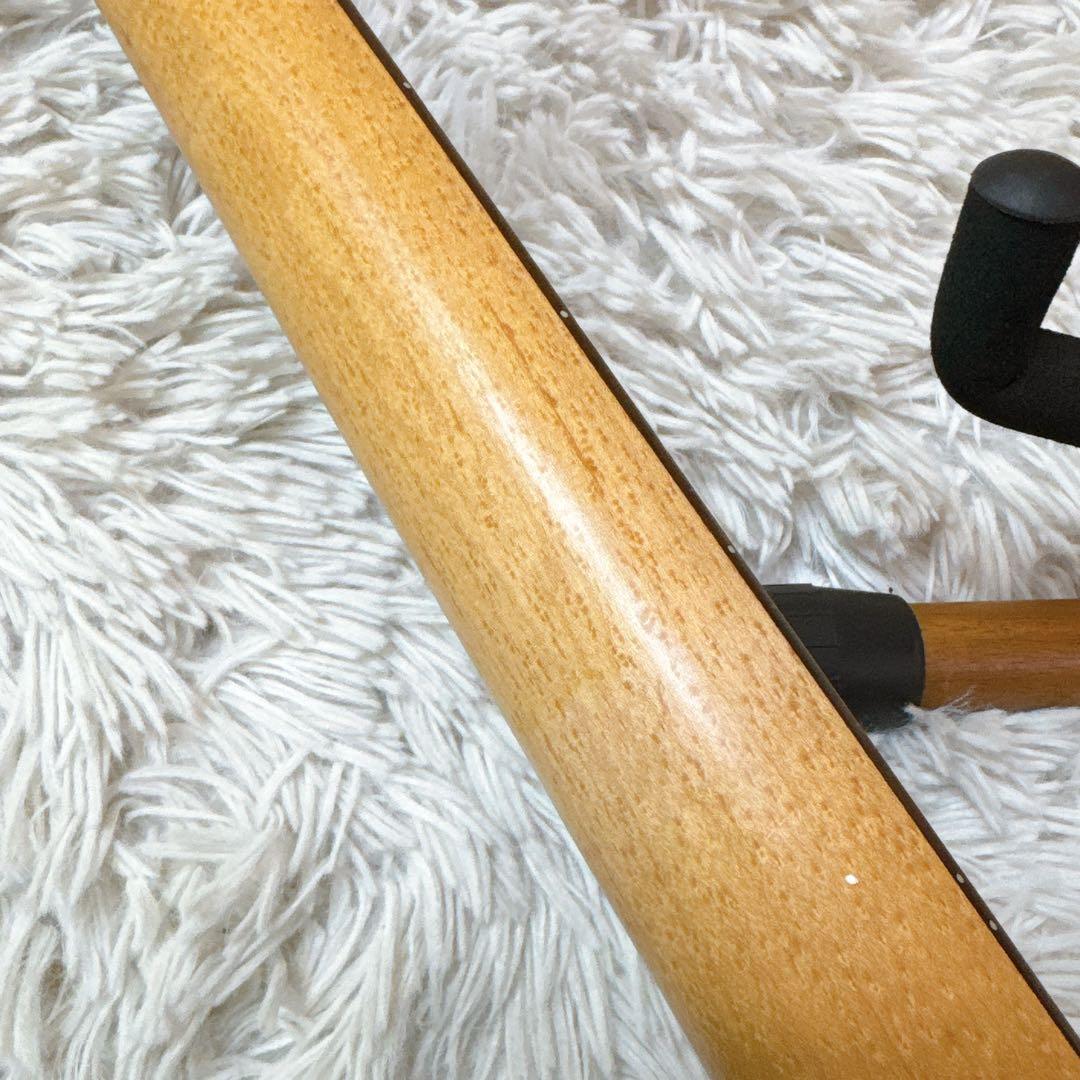 激バーズアイ！GYPSY ROSE/ジプシーローズ ストラトタイプ 女の子向け