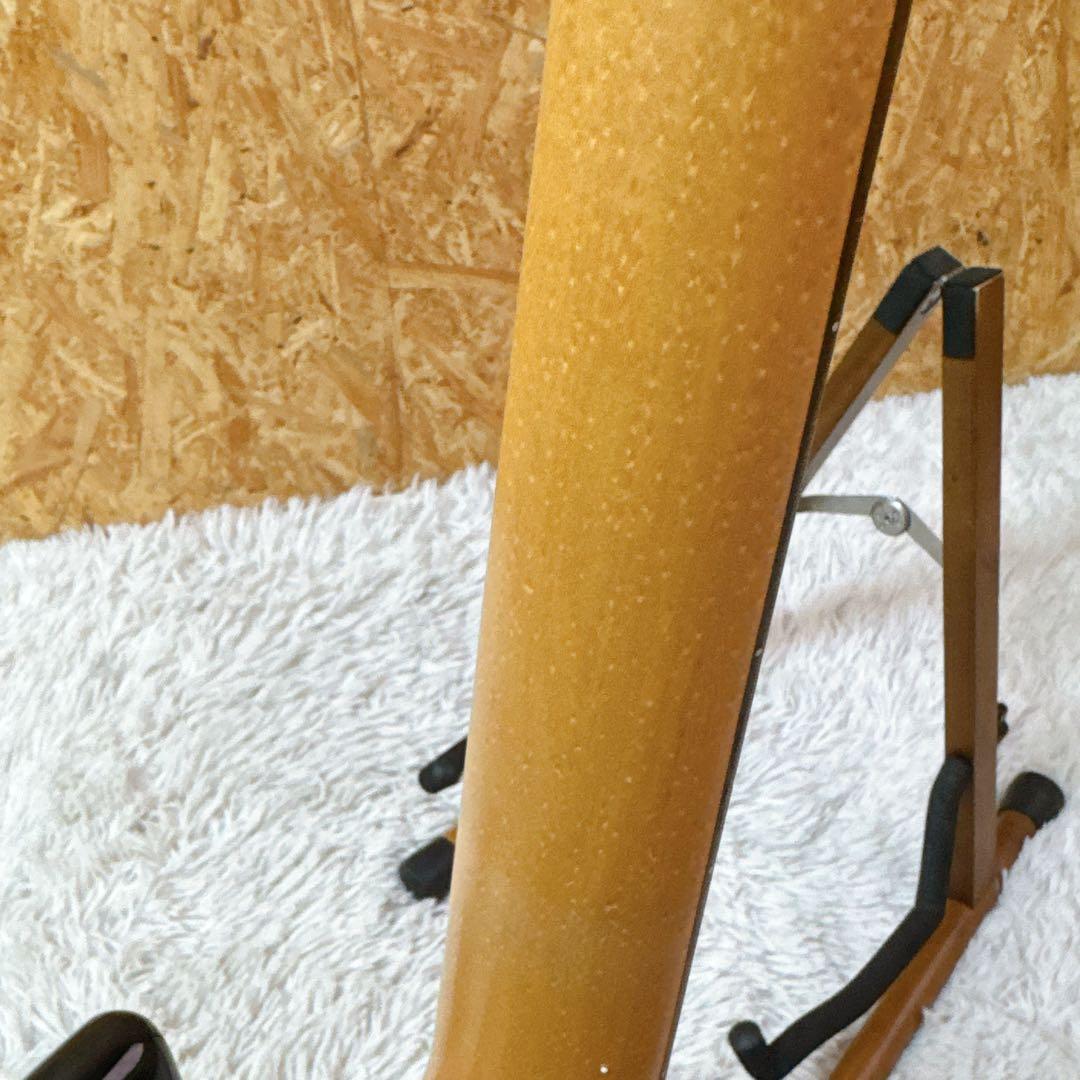 激バーズアイ！GYPSY ROSE/ジプシーローズ ストラトタイプ 女の子向け