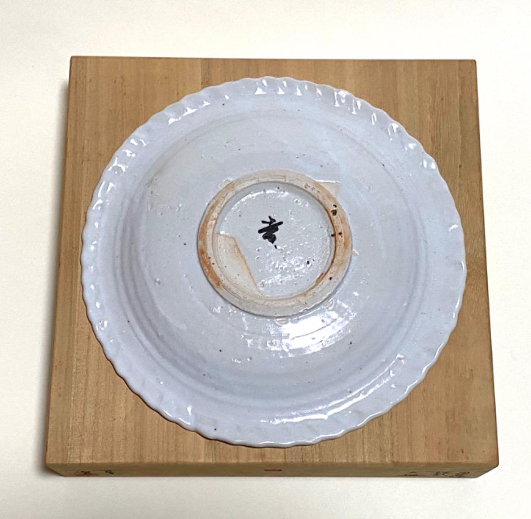 岡 晋吾 天平窯　白磁　色絵　桜散文　大皿