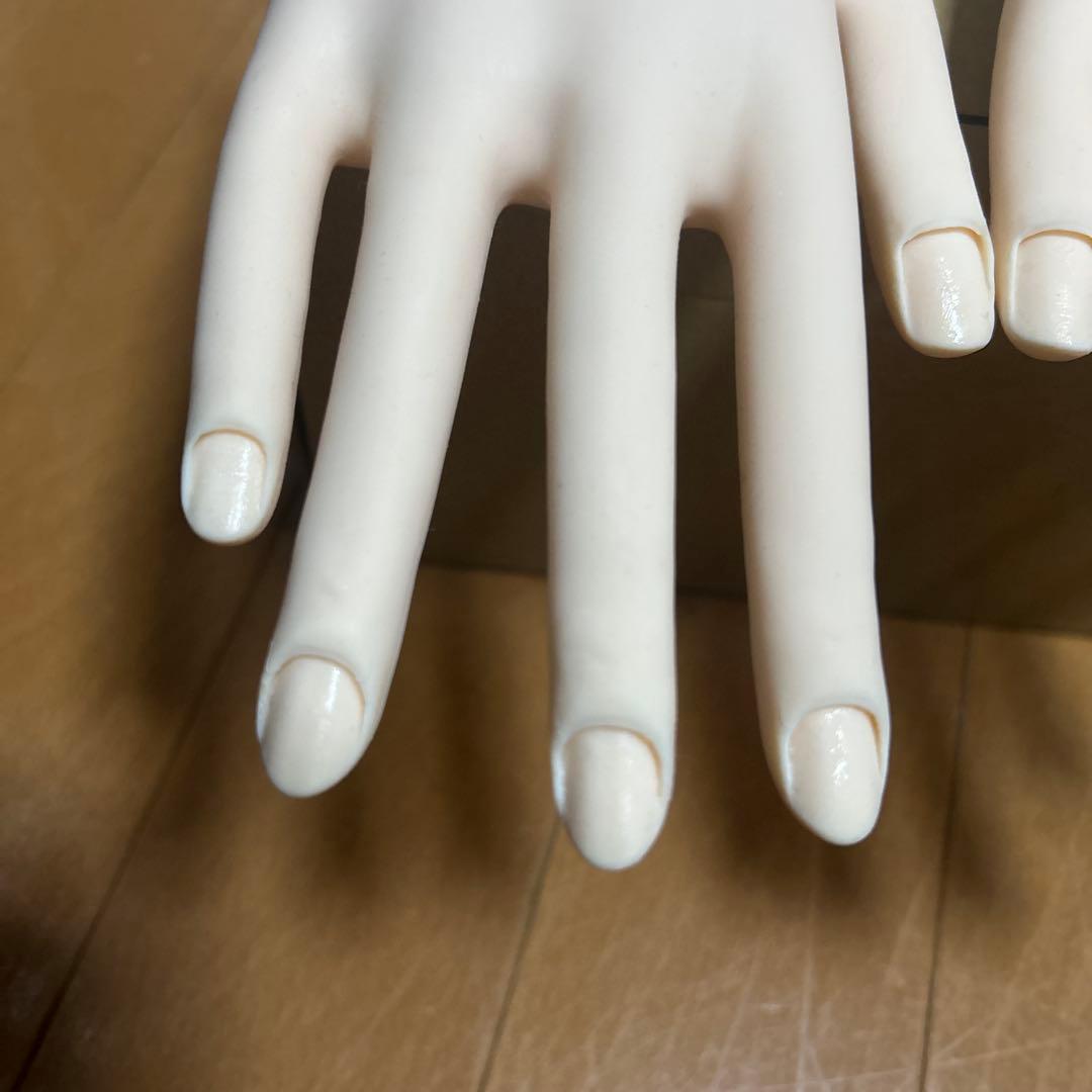 JNEC認定ハンドモデル　ネイリスト技能検定　美品