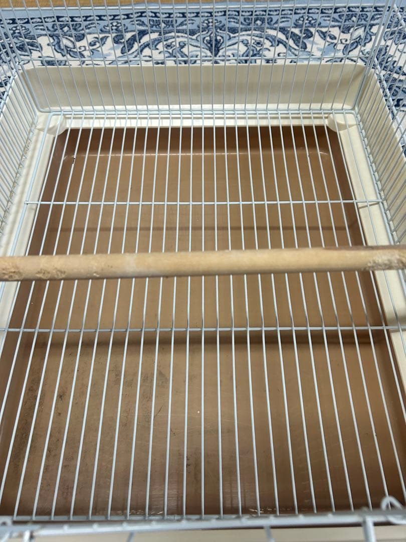 鳥かご　SANKO サンコー　イージーホーム　セット　モモンガ