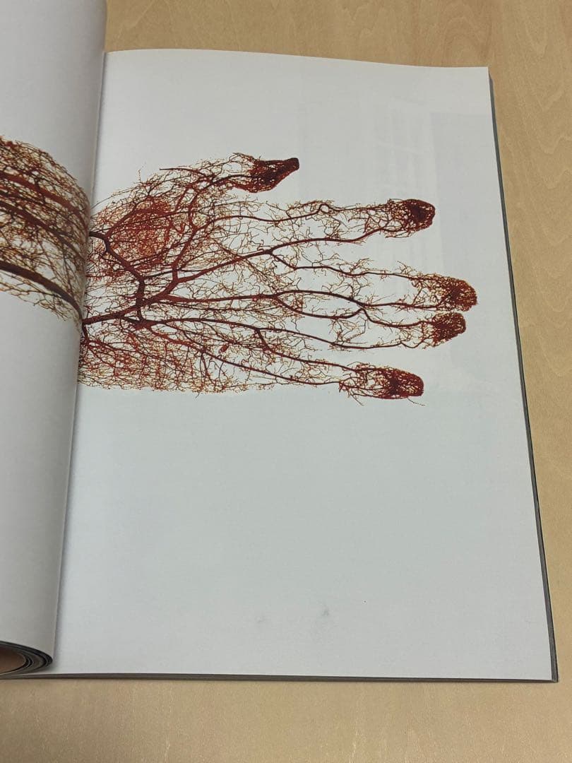 趣味・スポーツ・実用 PERMANENT FOOD No.7