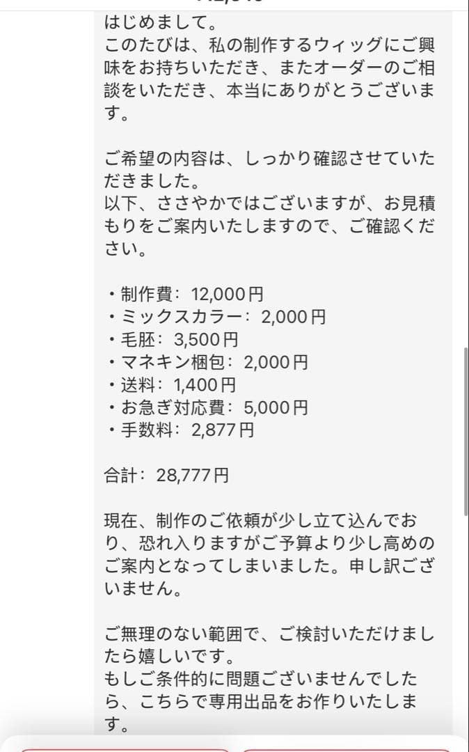 n様　ウィッグオーダー専用ページ