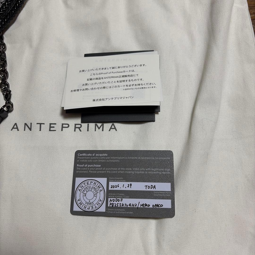 アンテプリマ　ノードII ミディアム