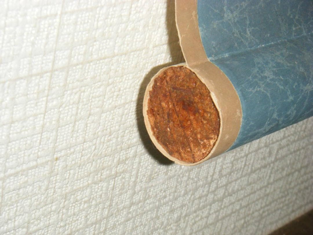 【真作】掛軸　一字書　寿　逸品　O86