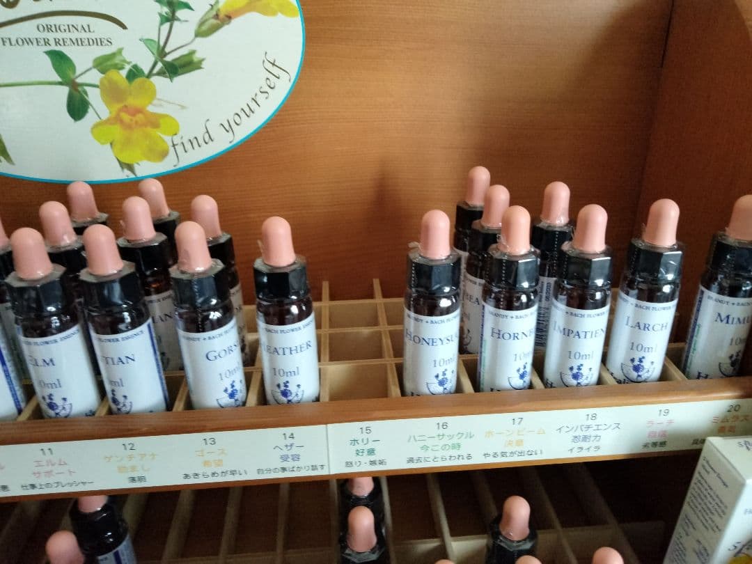 まりりん♪1740+1640×6=11580■ヒーリングハーブス社フラワー