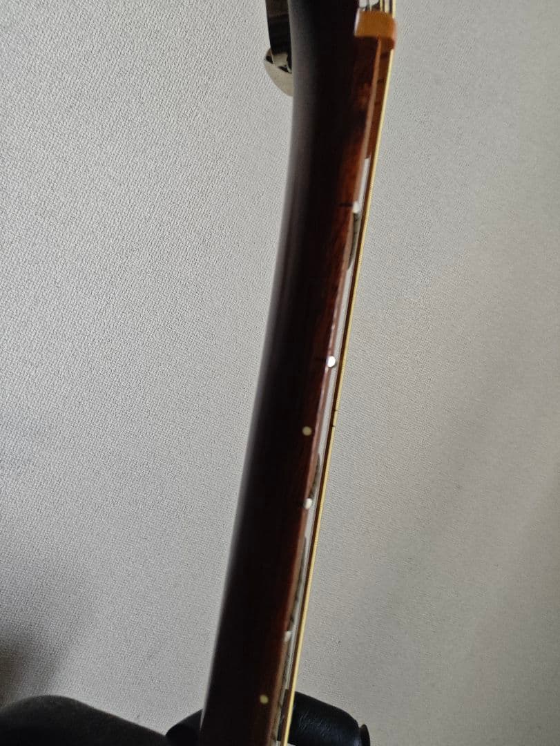 Aria Dreadnought-25N アコースティックギター