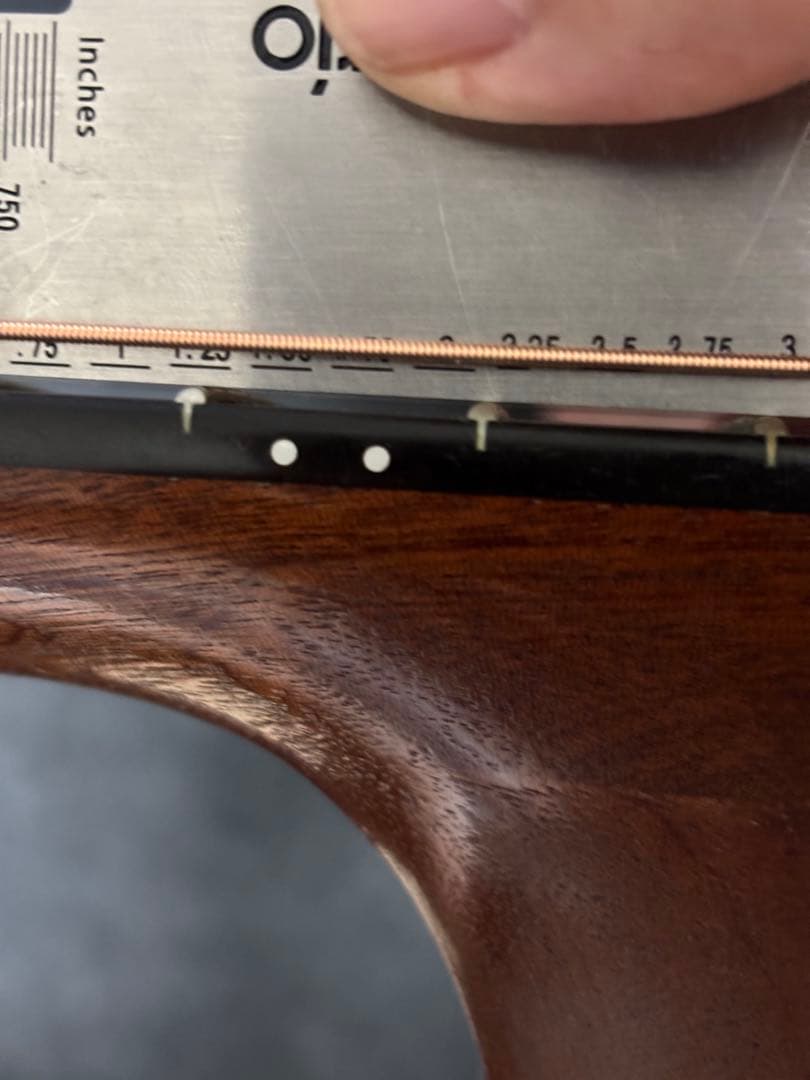 テイラー 214ce DLX