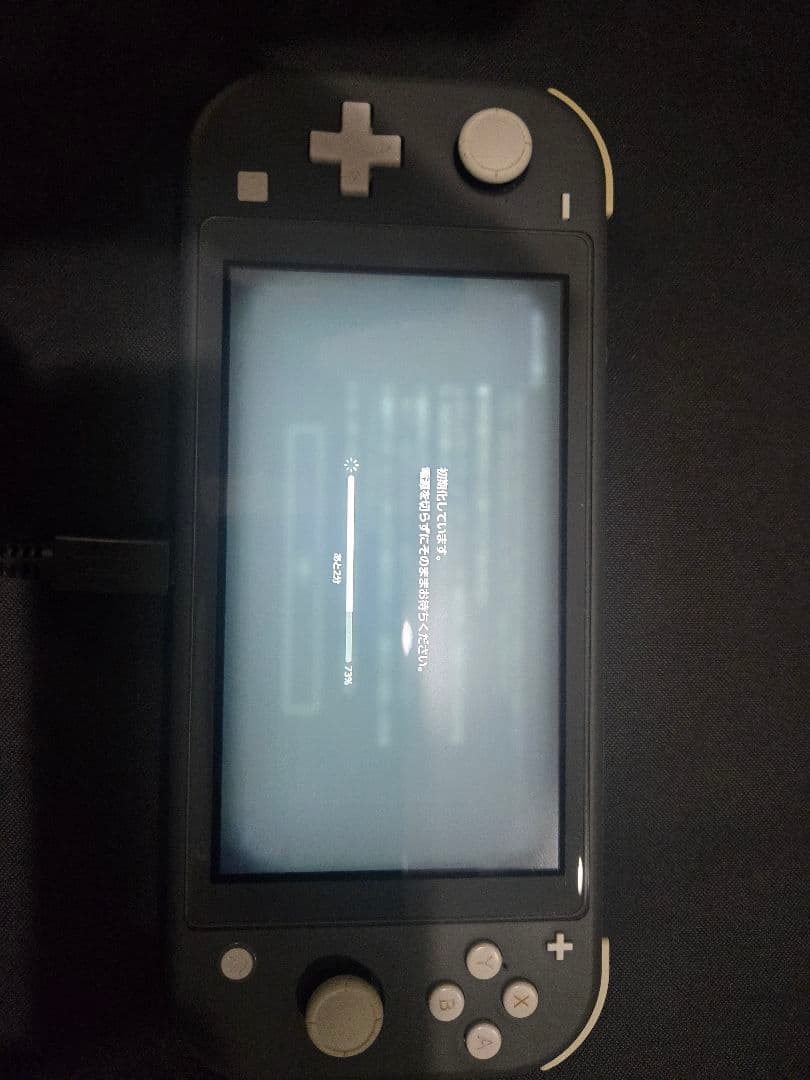 Nintendo Switch Lite【グレー】 動作良好　 3点セット