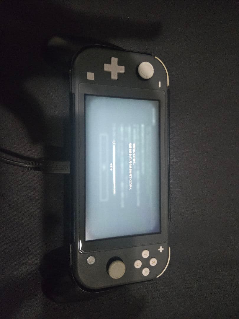 Nintendo Switch Lite【グレー】 動作良好　 3点セット