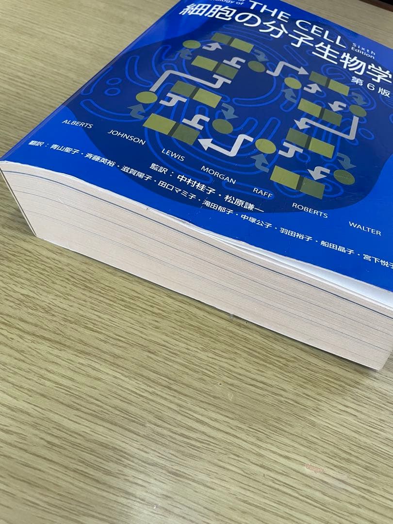 Molecular Biology of THE CELL 第6版