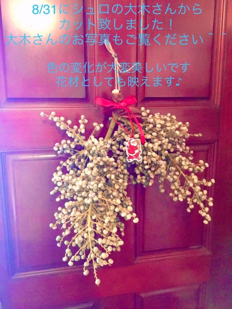 完売　希少＊高級花材【棕櫚の実＊シュロの実】花材/スワッグやリース素材に