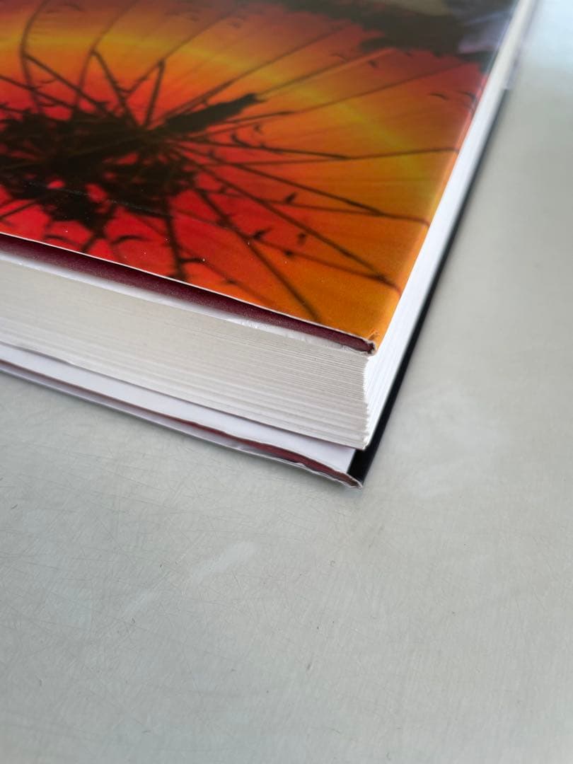 アート・デザイン・音楽 Wolfgang Tillmans FONDATION BEYELER